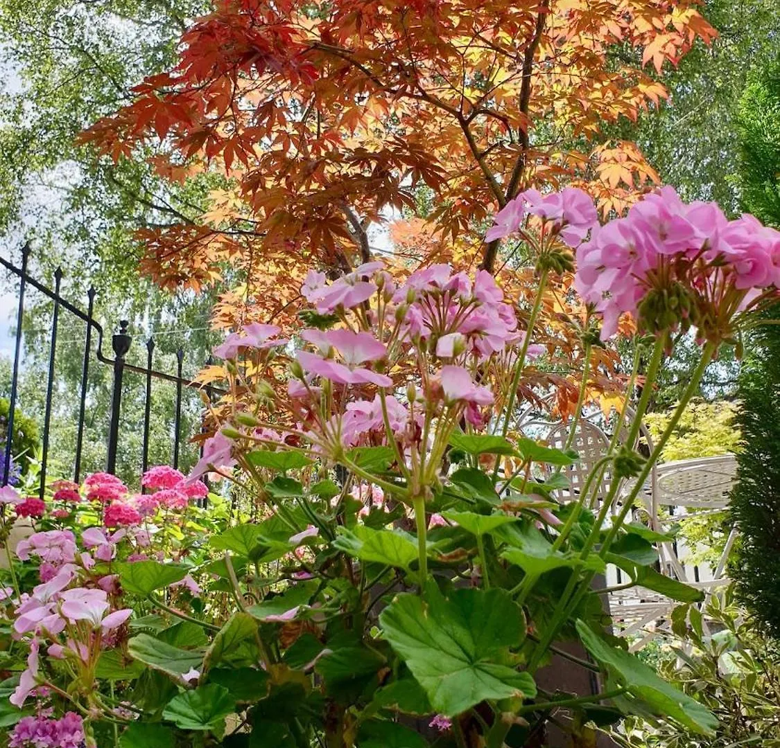 Stylish Garden Apartment In Central Cheltenham United Kingdom